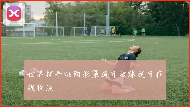 世界杯手机购彩渠道开放球迷可在线投注