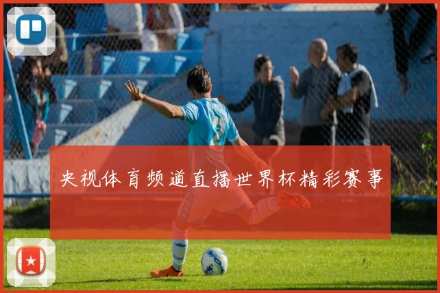 央视体育频道直播世界杯精彩赛事