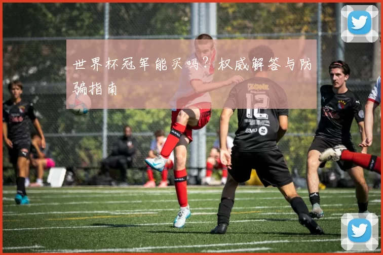 世界杯冠军能买吗?权威解答与防骗指南