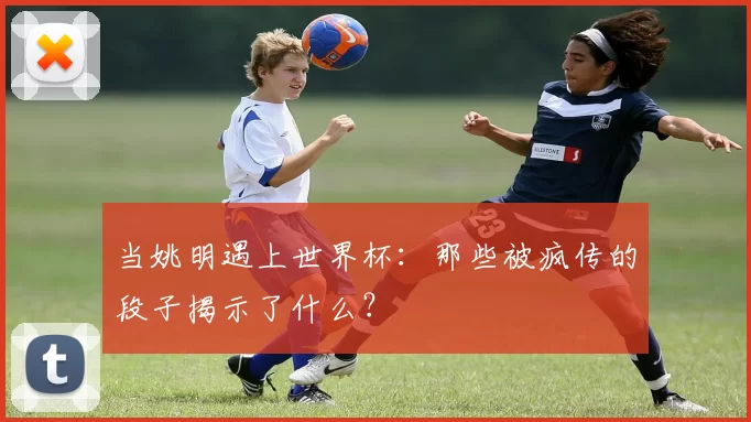 当姚明遇上世界杯：那些被疯传的段子揭示了什么？