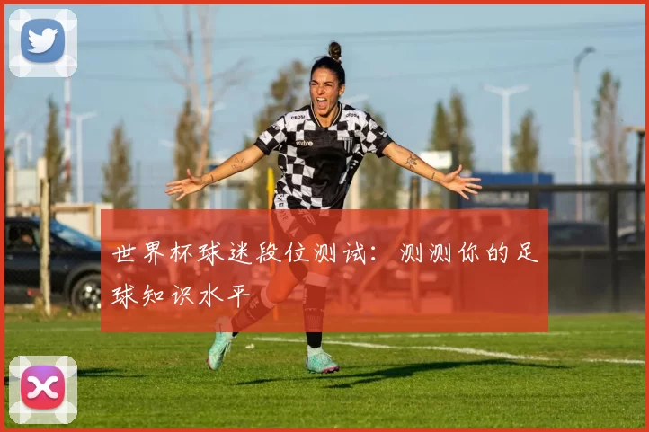 世界杯球迷段位测试:测测你的足球知识水平