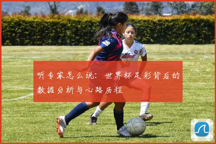 听专家怎么说：世界杯足彩背后的数据分析与心路历程