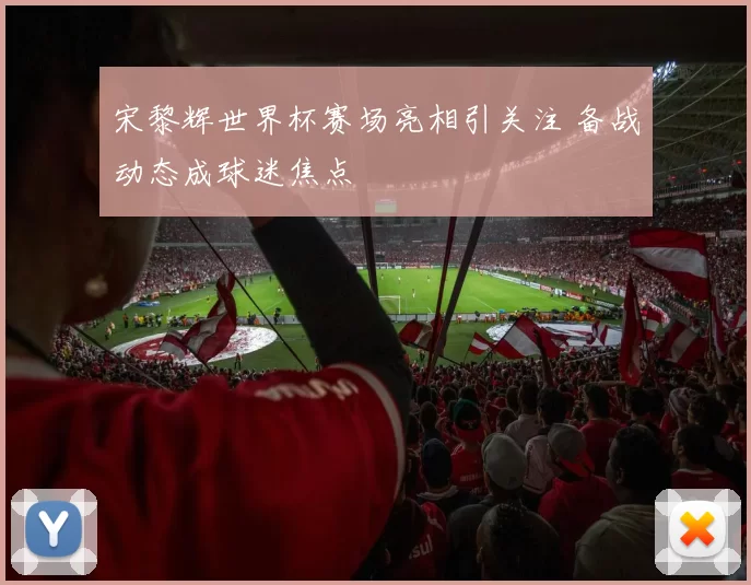 宋黎辉世界杯赛场亮相引关注 备战动态成球迷焦点