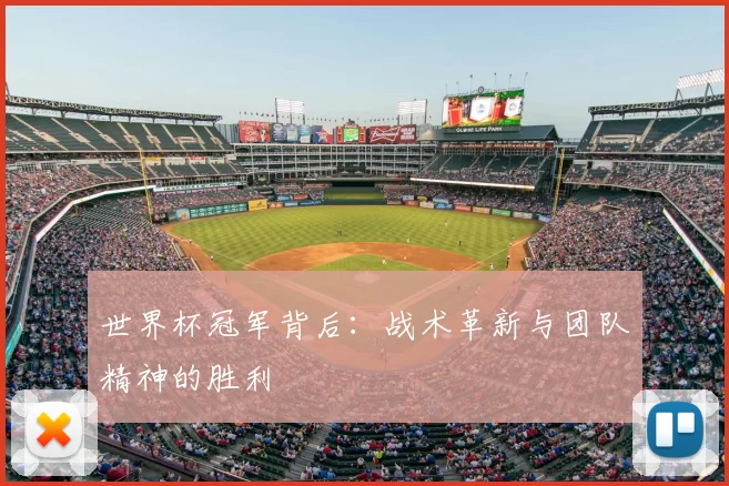 世界杯冠军背后:战术革新与团队精神的胜利