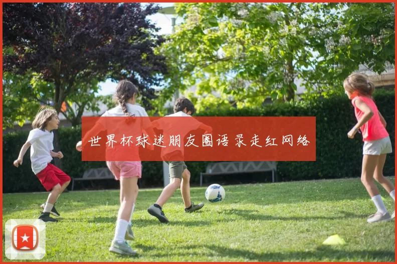 世界杯球迷朋友圈语录走红网络