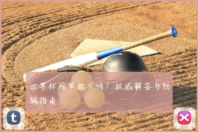 世界杯冠军能买吗?权威解答与防骗指南