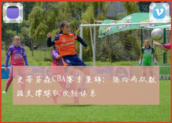 史蒂芬森CBA赛季集锦：场均两双数据支撑球队攻防体系