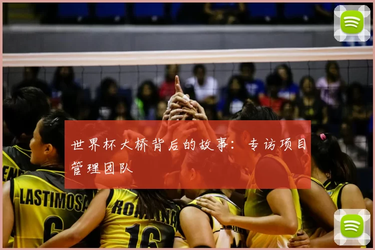 世界杯大桥背后的故事:专访项目管理团队
