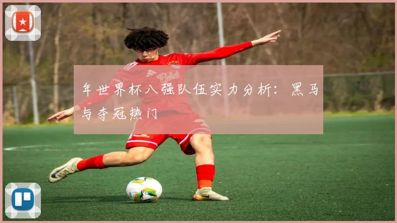 年世界杯八强队伍实力分析：黑马与夺冠热门
