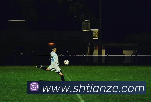 买球赛平台生态图