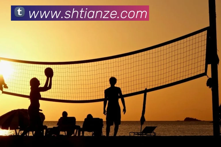 买球赛APP 封面图